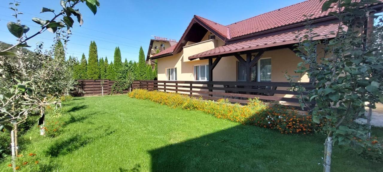 Carpen View Residence Săcele Exterior foto